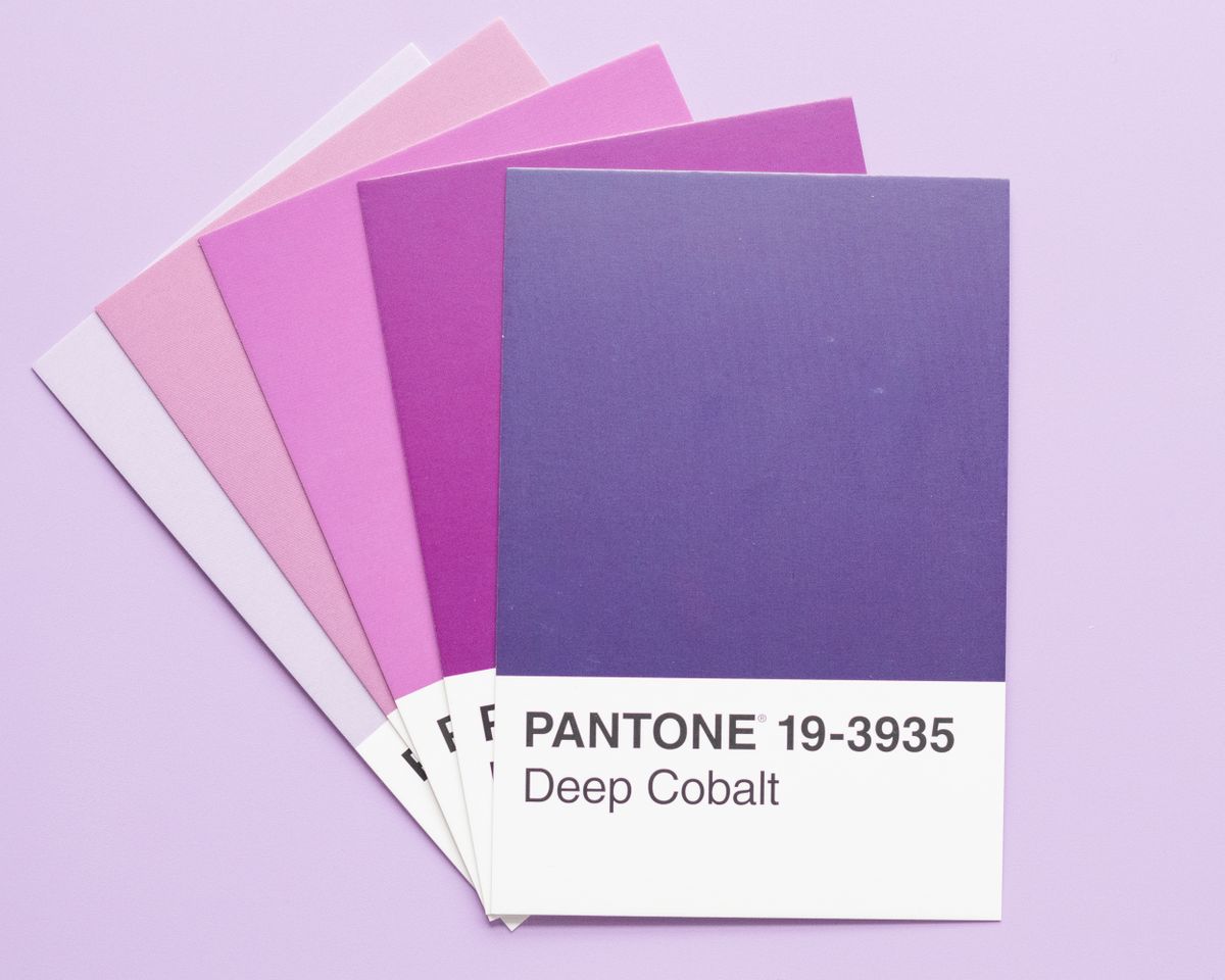 A brand identity kit — logo, colour palette, and type applied across materials